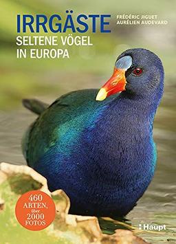 Irrgäste: Seltene Vögel in Europa