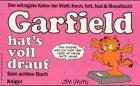 Garfield hat's voll drauf