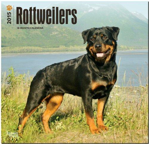 Rottweilers 2015 - Rottweiler