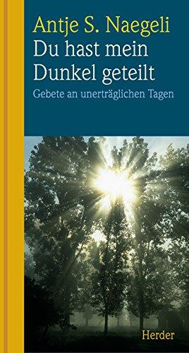 Du hast mein Dunkel geteilt: Gebete an unerträglichen Tagen