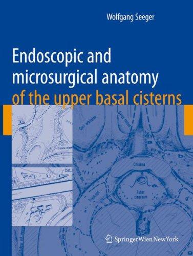 Endoscopic and microsurgical anatomy of the upper basal cisterns