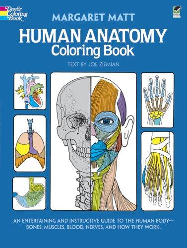 Human Anatomy Coloring Book (Colouring Books)