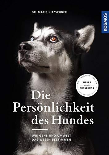 Die Persönlichkeit des Hundes: Wie Gene und Umwelt das Wesen bestimmen