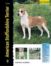 American staffordshire terrier (Excellence)