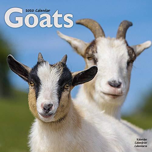 Goats Calendar 2020