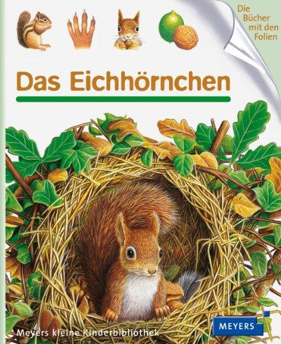 Das Eichhörnchen