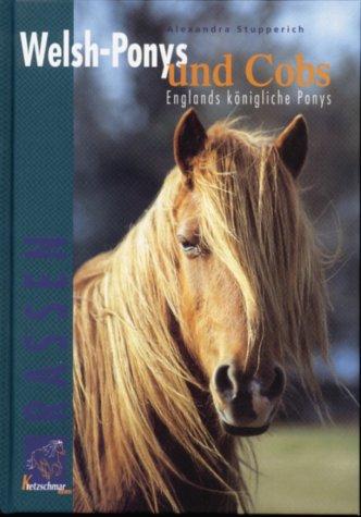 Welsh-Ponys und Cobs "Englands königliche Ponys"