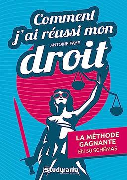 Comment j'ai réussi mon droit : la méthode gagnante en 50 schémas