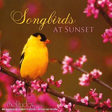 Songbirds at Sunset