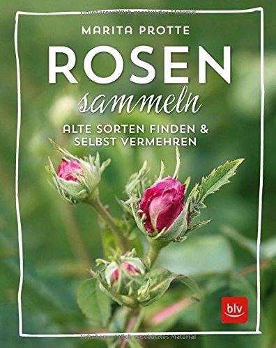 Rosen sammeln: Alte Rosen finden & vermehren