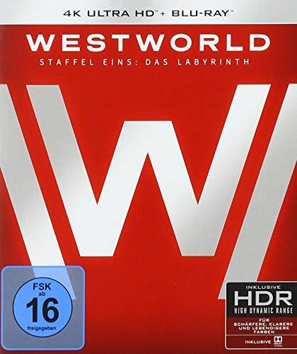 Westworld - Die komplette 1. Staffel  (3 Blu-rays 4K Ultra HD) (+ 3 Blu-rays 2D)