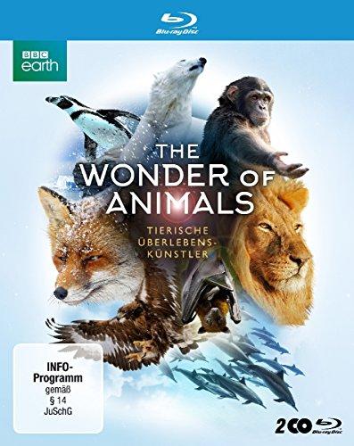 The Wonder of Animals - Tierische Überlebenskünstler [Blu-ray]