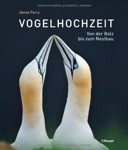 Vogelhochzeit: Von der Balz bis zum Nestbau