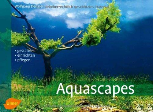 Aquascapes: Gestalten, einrichten, pflegen