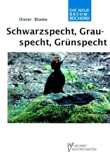 SCHWARZSPECHT, GRAUSPECHT    GRÜNSPECHT: Dryocopus martius, Picus canus, Picus viridis