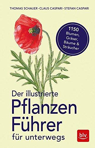 Der illustrierte BLV Pflanzenführer für unterwegs: 1150 Blumen, Gräser, Bäume und Sträucher