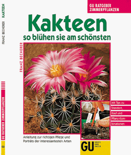 Kakteen. So blühen sie am schönsten