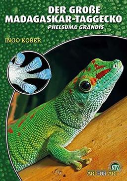 Der Große Madagaskar-Taggecko: Phelsuma grandis (Art für Art: Terraristik)