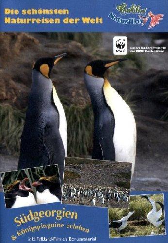 Südgeorgien & Königspinguine erleben