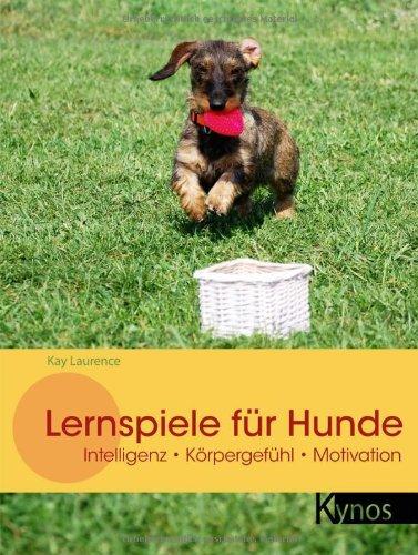 Lernspiele für Hunde: Intelligenz - Körpergefühl - Motivation