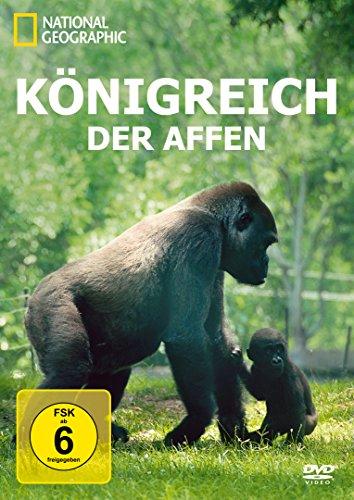 National Geographic - Königreich der Affen