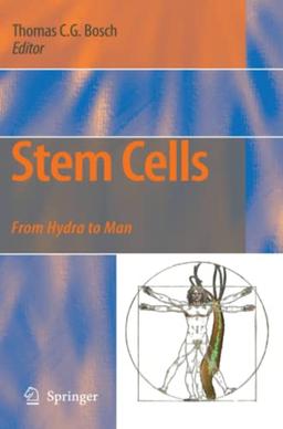 Stem Cells: From Hydra to Man