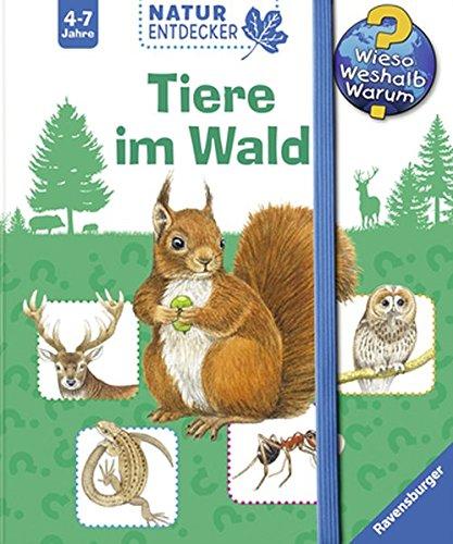 Tiere im Wald (Wieso? Weshalb? Warum? Natur-Entdecker)