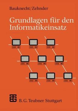 Grundlagen für den Informatikeinsatz. (XLeitfäden der Informatik)