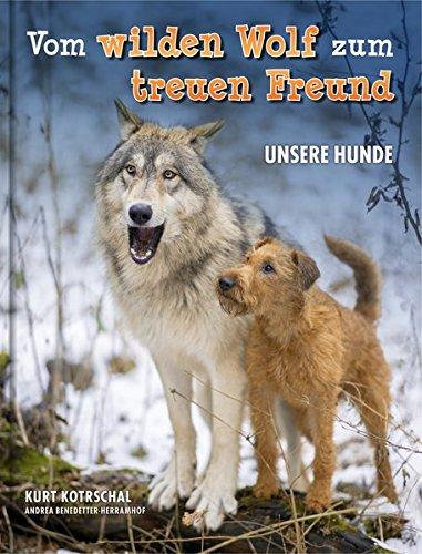 Vom wilden Wolf zum treuen Freund: unsere Hunde