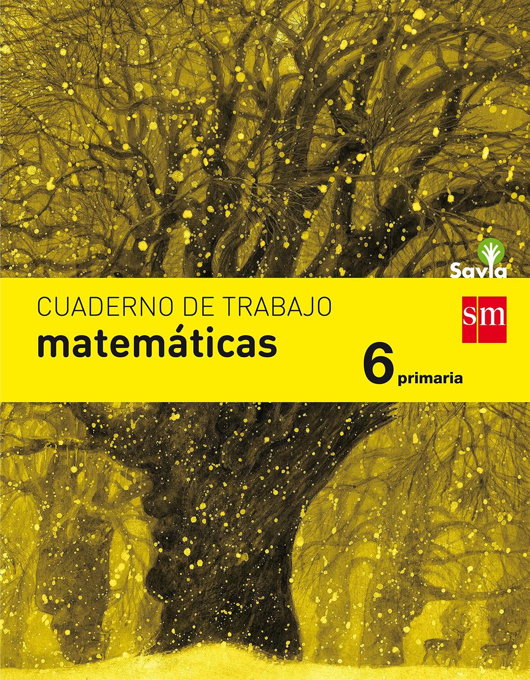 Cuaderno de matemáticas, 6 primaria