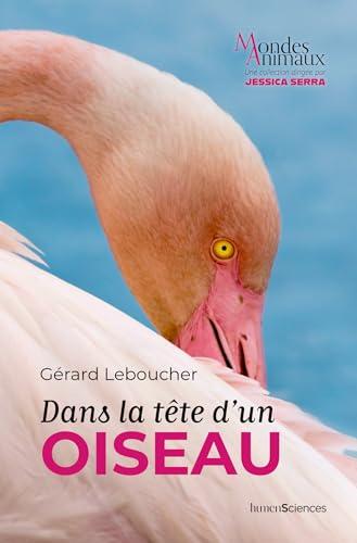 Dans la tête d'un oiseau