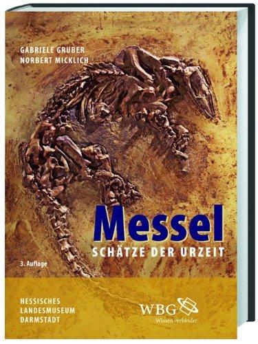 Messel: Schätze der Urzeit