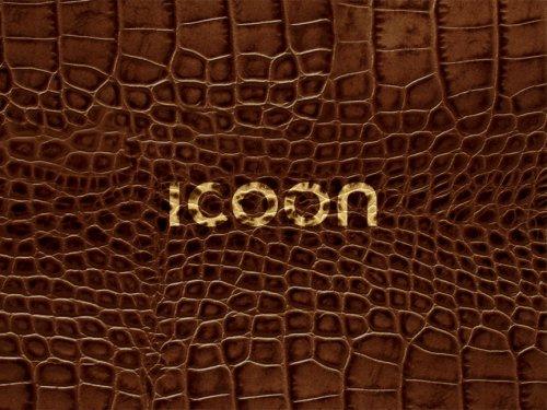 ICOON global picture dictionary (croco) - Bildwörterbuch