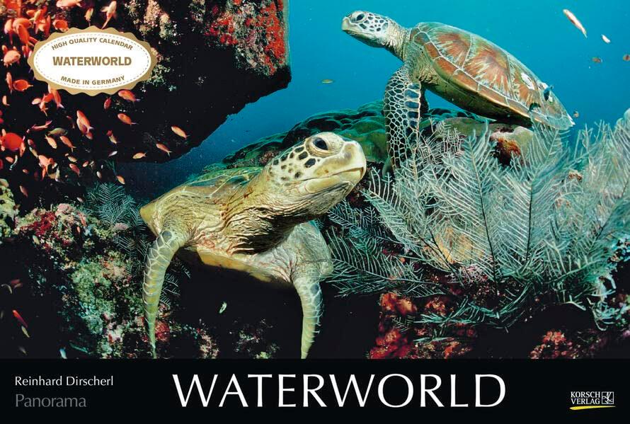 Waterworld 2024: Großer Foto-Wandkalender mit unterwasser-Bildern von Fischen. Edler schwarzer Hintergrund. PhotoArt Panorama Querformat: 58x39 cm.