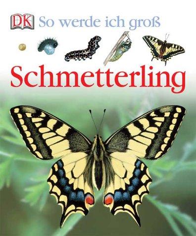 So werde ich groß. Schmetterling