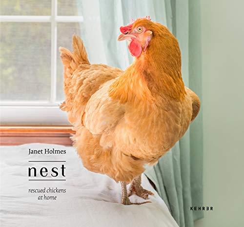 Janet Holmes: Nest. Rescued Chickens at Home