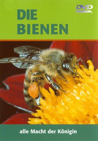 Die Bienen - Alle Macht der Königin