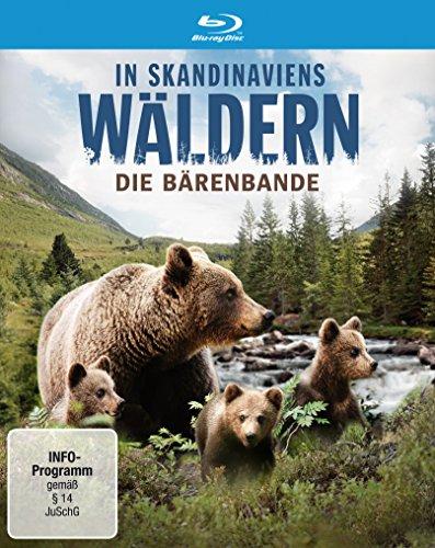 In Skandinaviens Wäldern - Die Bärenbande [Blu-ray]