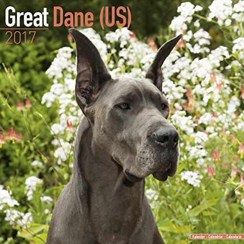 Great Dane (US) Calendar 2017