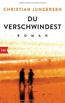 Du verschwindest: Roman