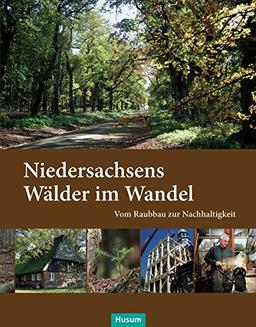 Niedersachsens Wälder im Wandel: Vom Raubbau zur Nachhaltigkeit