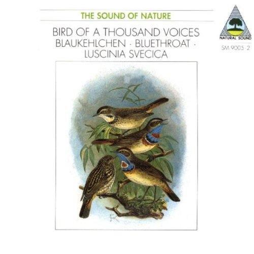 Natural Sound - Digitale Hörbilder - Bird of a Thousand Voices