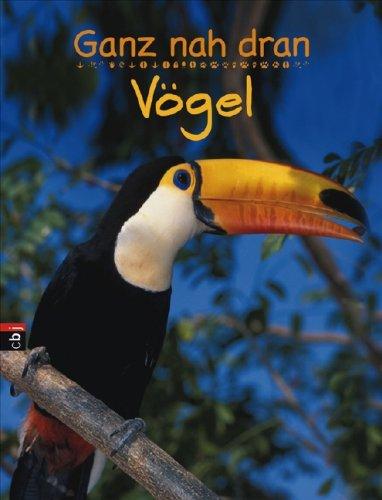 Ganz nah dran - Vögel