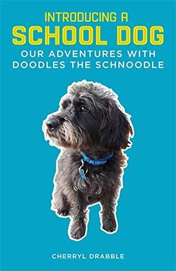 Introducing a School Dog: Our Adventures with Doodles the Schnoodle