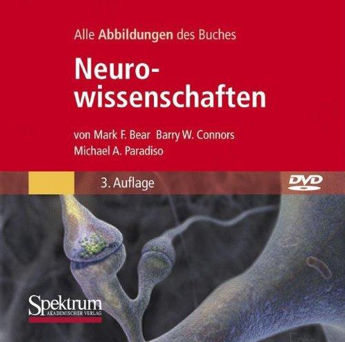 Bild-DVD, Neurowissenschaften