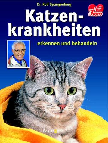 Katzenkrankheiten erkennen und behandeln