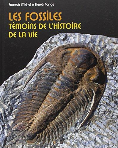 Les fossiles, témoins de l'histoire de la vie