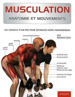 Musculation : anatomie et mouvements : les conseils d'un pro pour optimiser votre entraînement