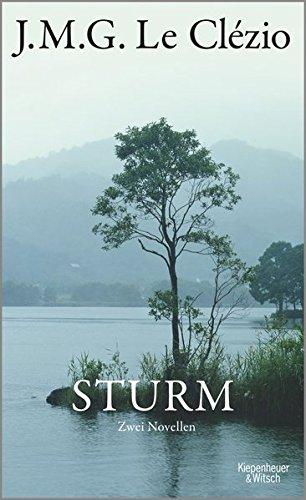 Sturm: Zwei Novellen