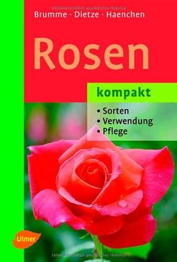 Rosen kompakt: Sorten - Verwendung - Pflege